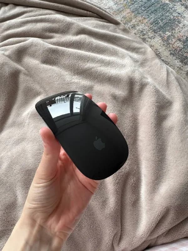 MAGIC MOUSE — Батуми — 100 $