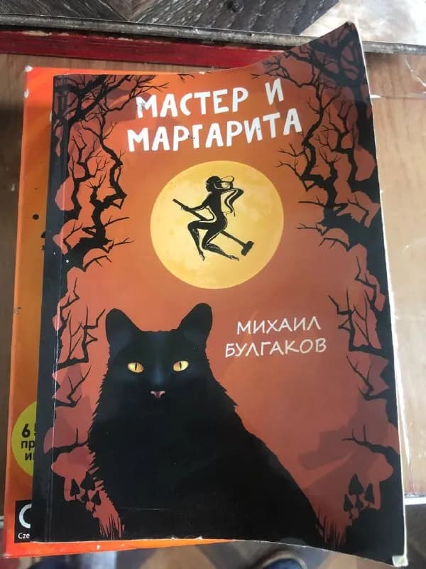 5 лари — Батуми — 5 ₾