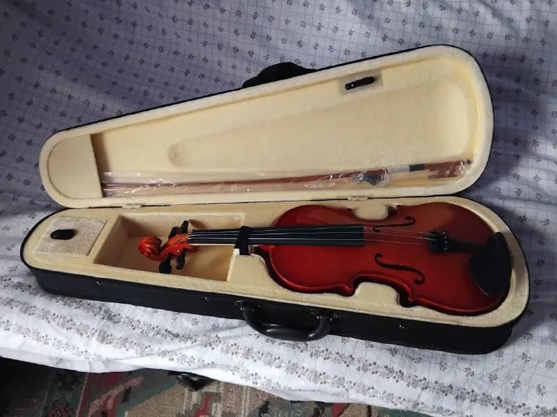 Скрипка 4/4 — Батуми — 100 ₾