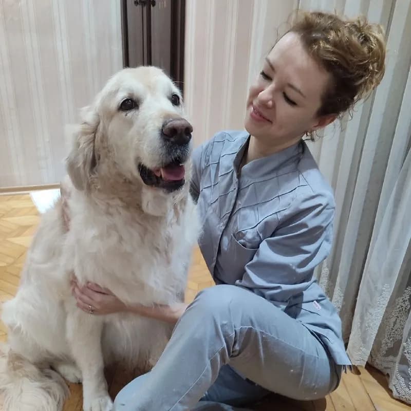 Услуги грумера — Батуми