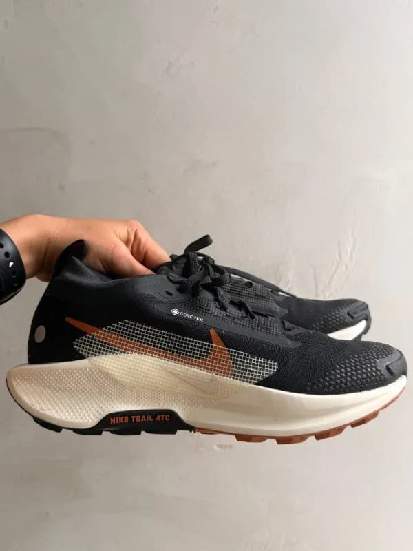 Nike Running Pegasus Trail 5 GORE-TEX — Батуми — 190 ₾