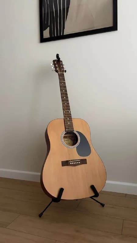 Fender — Батуми — 500 ₾