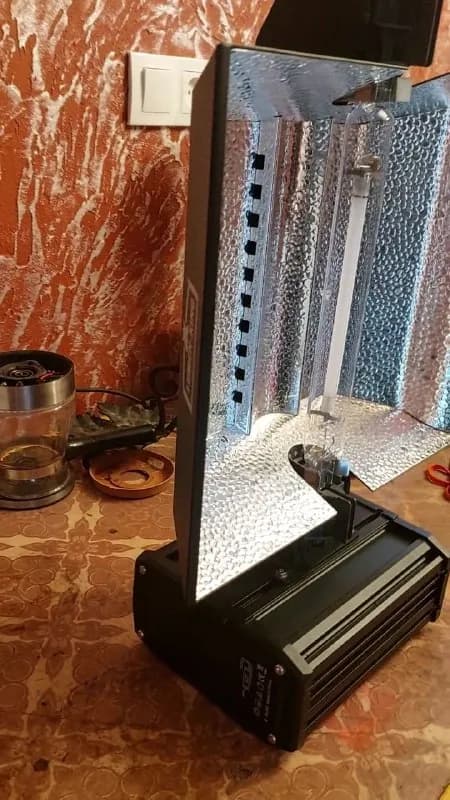 1000ватт — Батуми — 400 ₾