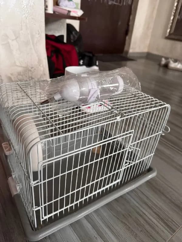 Клетка для хомяка — Батуми — 45 ₾