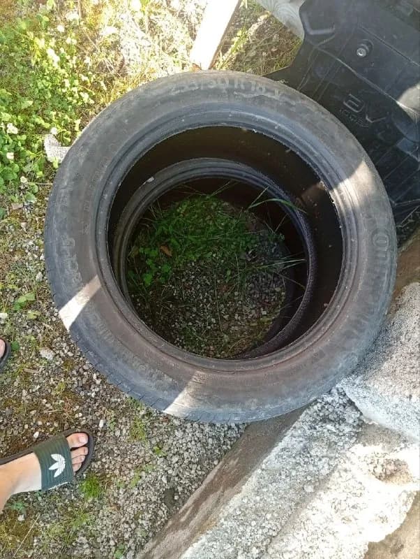 Шины Continental 235/50R18 2шт и газ баллон — Батуми — 60 ₾