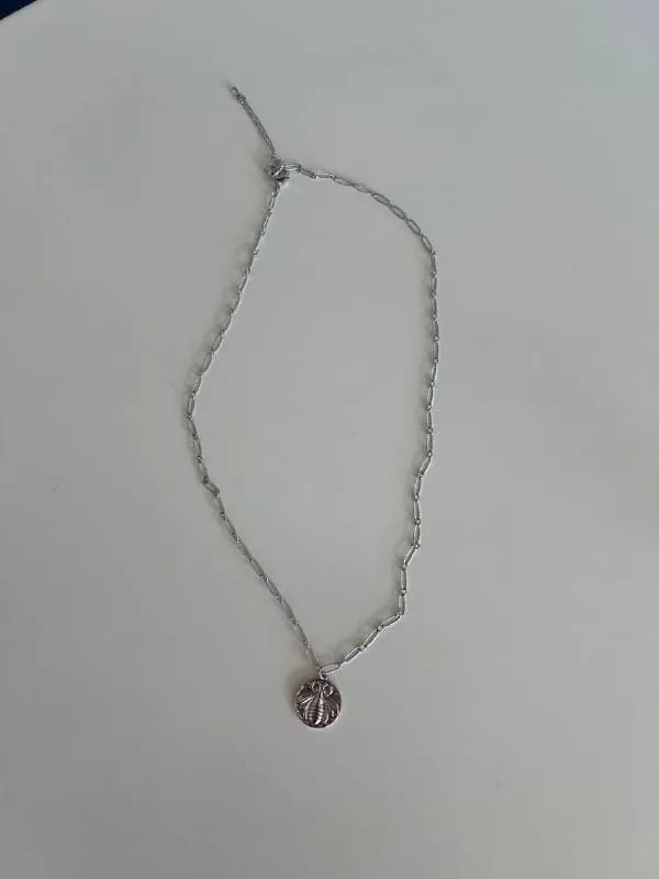 Цепь с медальоном оса — Батуми — 20 ₾