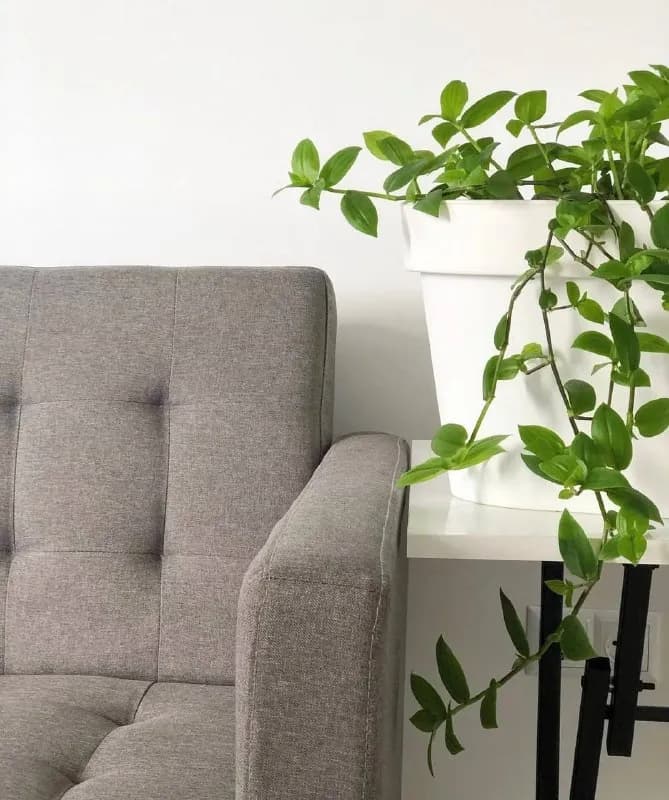 Продам диван, Такаишвили, само — Батуми — 300 ₾