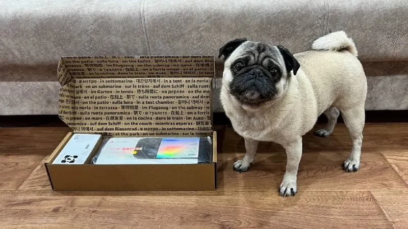 Steam deck OLED 1TB. Абсолютно новая приставка. Полный магазинный комплект. — Тбилиси — 1 800 ₾