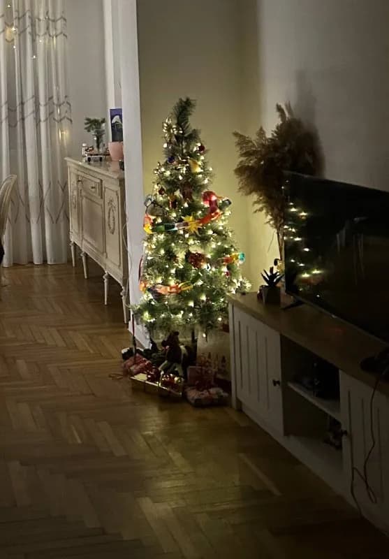 25 лари — Батуми — 25 ₾