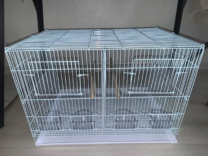 60×41×41. Два дня птица была на передержке, как новая. За 150 брали, отдадим за 70. — Батуми