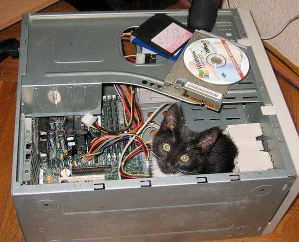 Windows 7, 8, 10 — Тбилиси