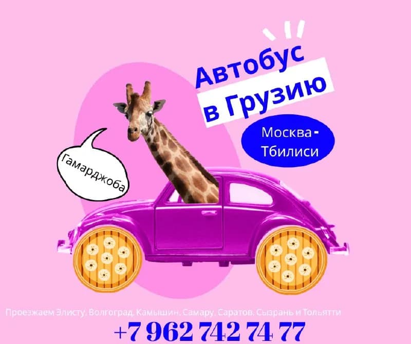 6 წლამდე უფასო — Тбилиси