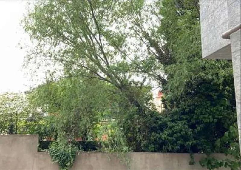 2 комнаты, 1 спальня. 62.10 m². Новый ремонт, необходимая техника, кондиционер. — Тбилиси — 400 $