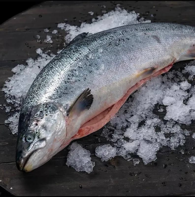 35 lari per kilogram. — Тбилиси — 35 ₾