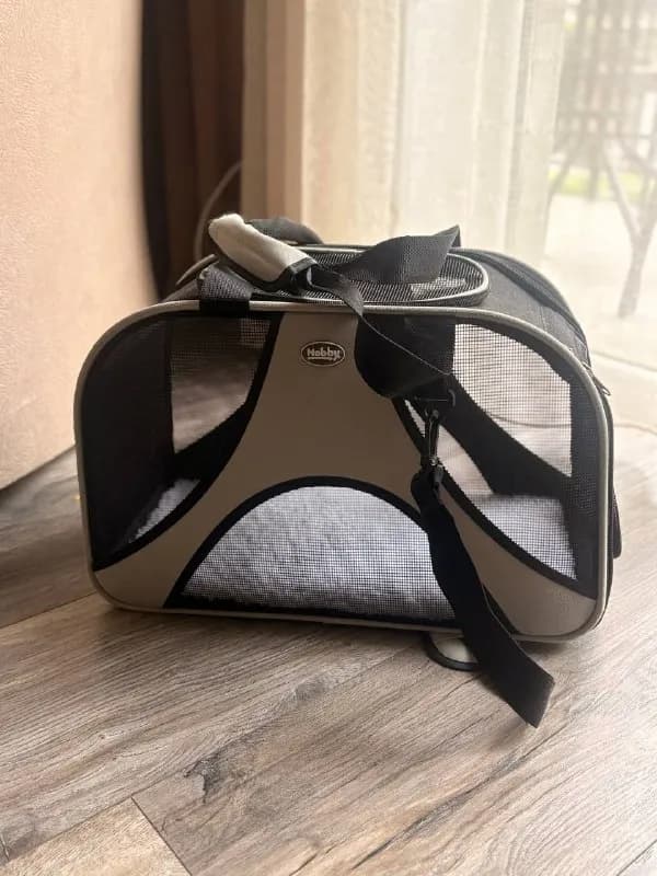 Nobby — Тбилиси — 70 ₾