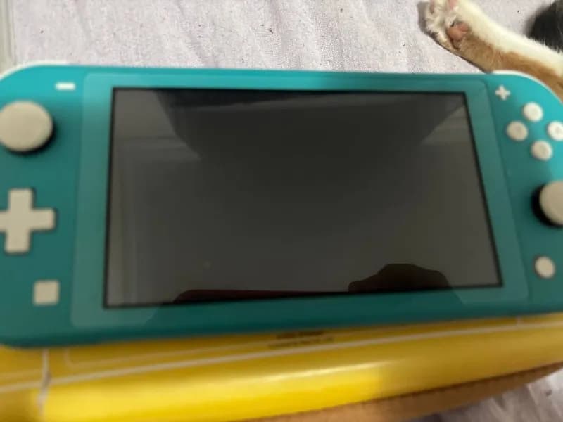 Nintendo switch lite 300 лари. Без бана. Состояние хорошее. Оригинальная зарядка. Sd карты нет. Без — Тбилиси — 300 ₾