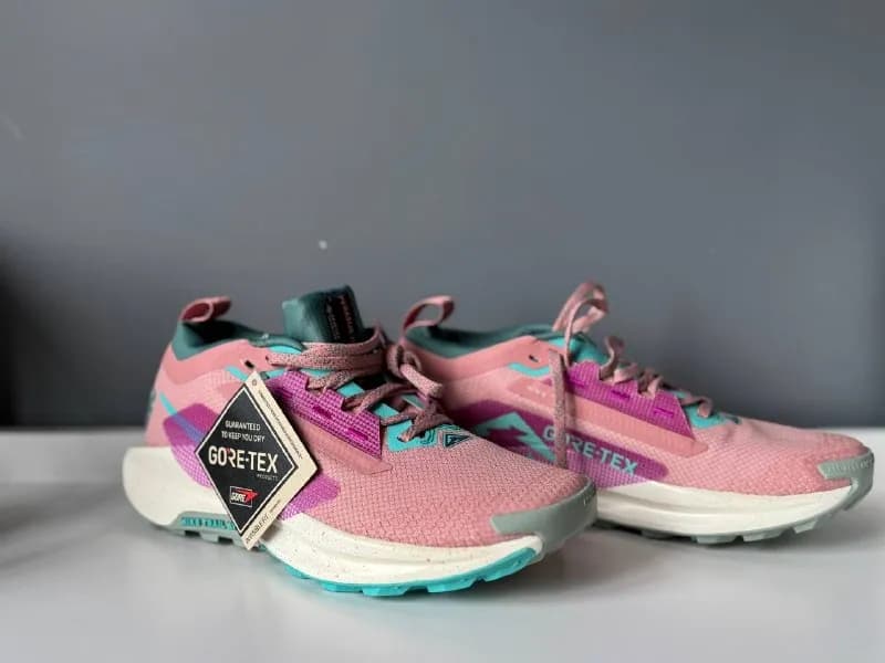 Nike Pegasus Trail 5 Goretex — Батуми — 245 ₾
