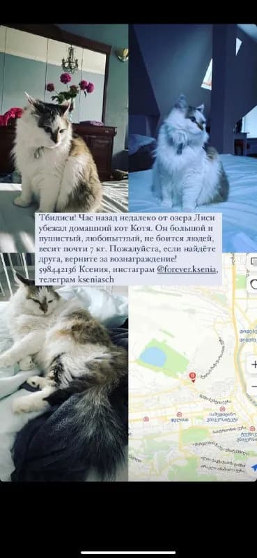 Без названия — Тбилиси