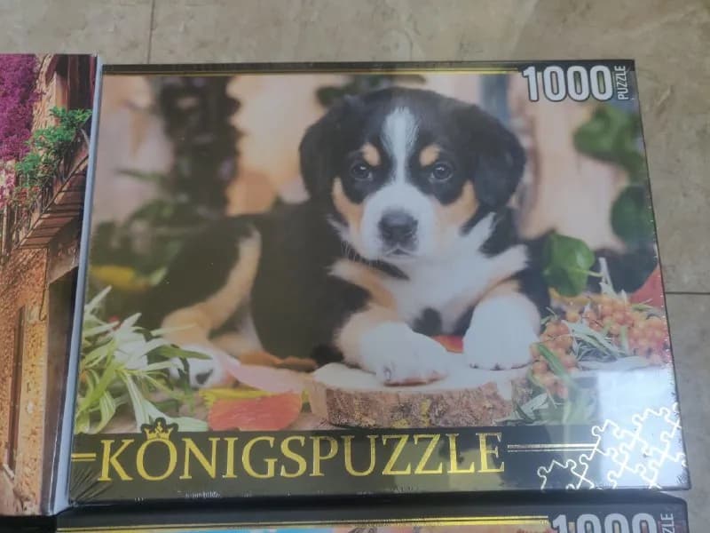 1000 штук — Тбилиси — 12 ₾
