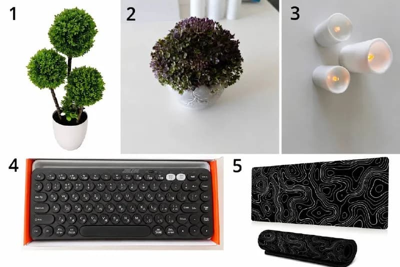 1. Декоративное дерево — Батуми — 15 ₾