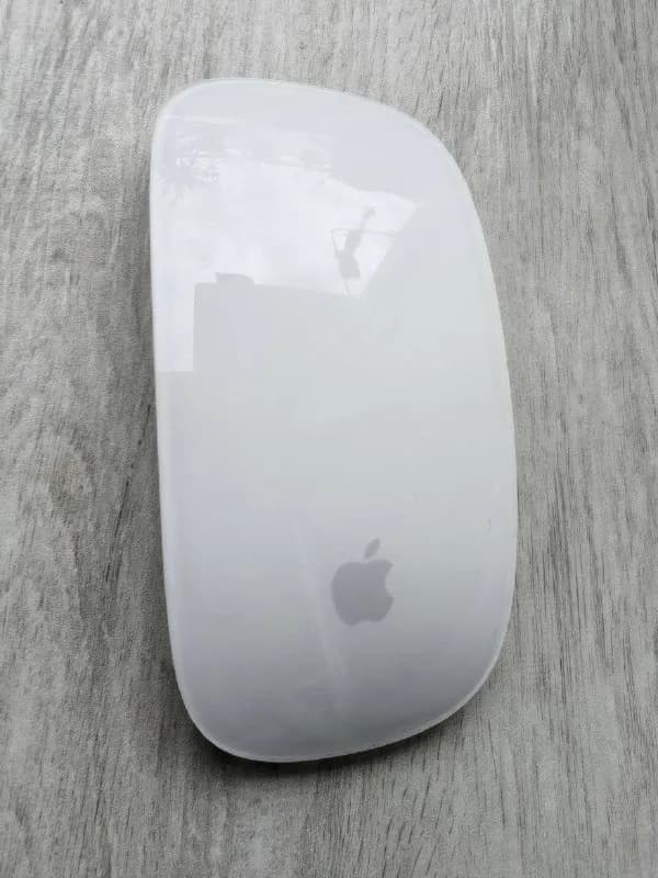 Apple Magic Mouse USB-C A3204 в отличном полностью рабочем состоянии, оригинал✅ — Батуми — 180 ₾