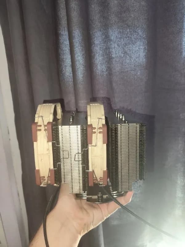noctua — Батуми — 400 ₾