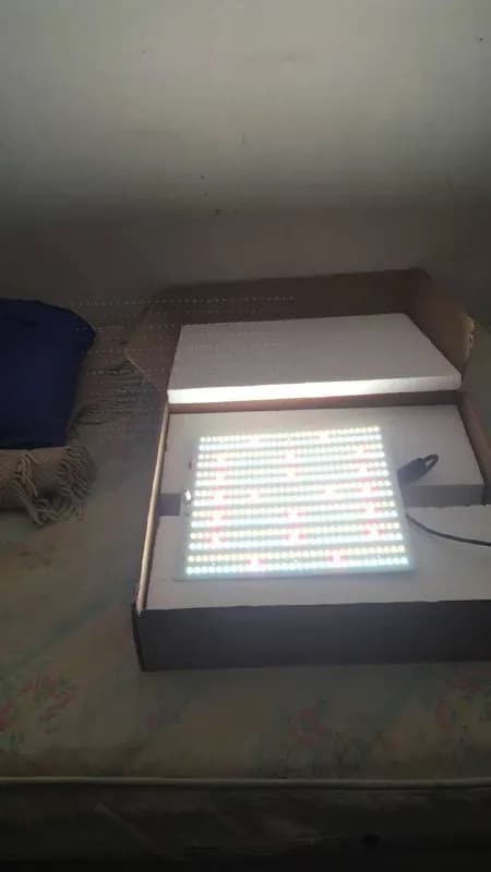 FIREFLY BOARD 150 — Тбилиси — 350 ₾