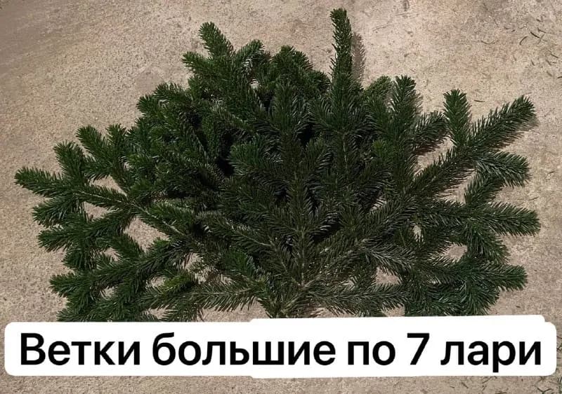 250 см — 290 gel — Тбилиси — 290 ₾