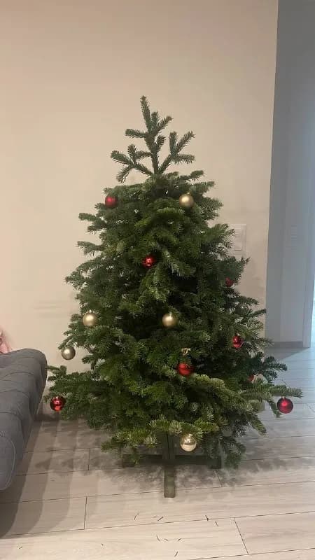 100 cm — 80 gel — Тбилиси — 80 ₾