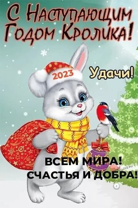 Без названия — Тбилиси
