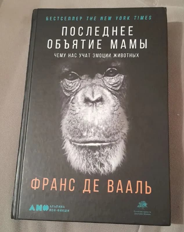 35 лари. — Тбилиси — 35 ₾