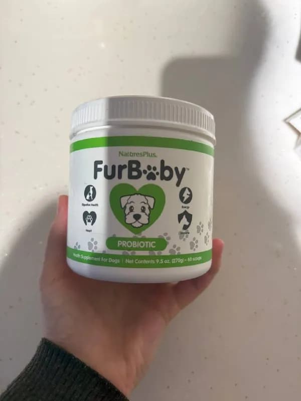 Furbaby — Батуми — 15 ₾