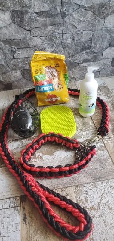 50gel — Батуми — 50 ₾