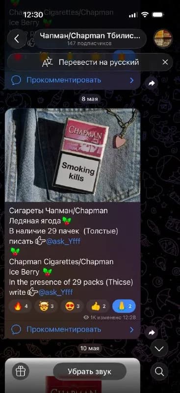 Chapman — Тбилиси