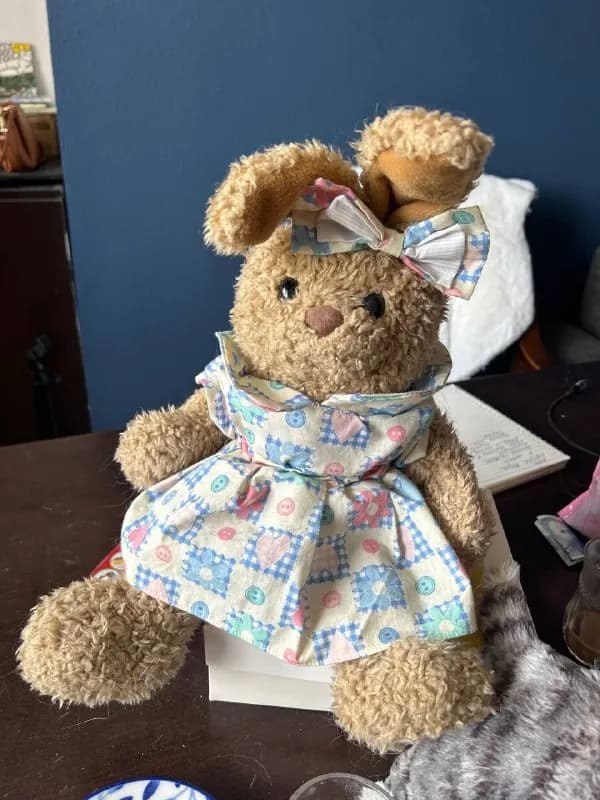 1. Икеевский кот, бася и bearing bear заяц 15 лари за всех зверей — Тбилиси — 15 ₾