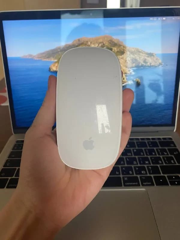 Apple Magic Mouse — Тбилиси — 80 ₾