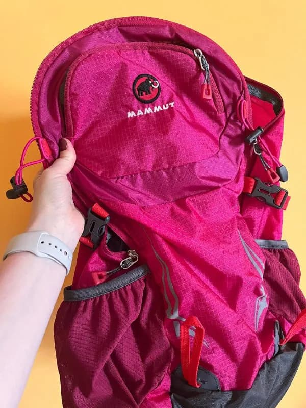 Mammut (30л), реплика. — Тбилиси — 40 ₾