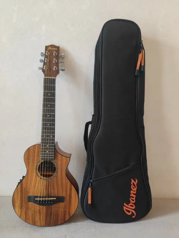 IBANEZ EWP12EWB-OPN — Батуми — 280 $