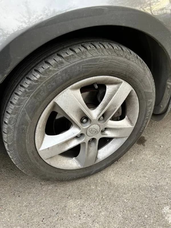 205/55 R16 MATADOR Hectorra 3 в хорошем состоянии (куплена в июле 2022 года). — Тбилиси — 450 ₾