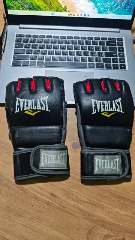 Everlast MMA Grappling Training Gloves — бесплатно — Батуми