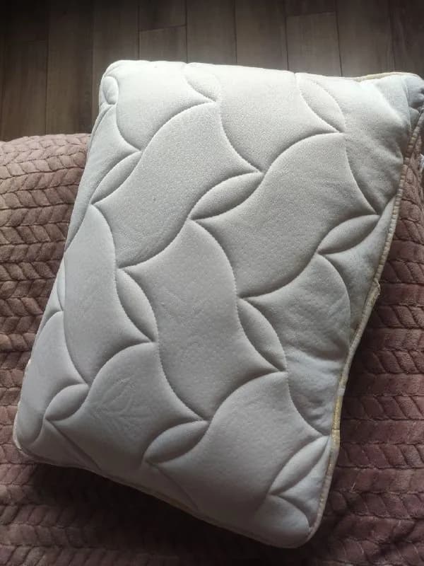 2 подушки 50×70, состояние новых, покупали во Fresco за 30 каждая, продам за 40 обе. Спали на них одну — Тбилиси