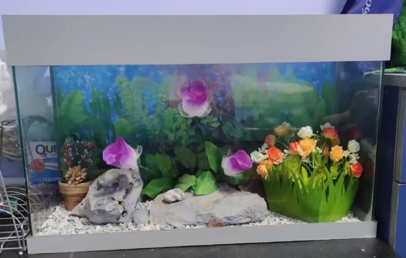61*39*22см с лампой и фильтром — Тбилиси — 100 ₾