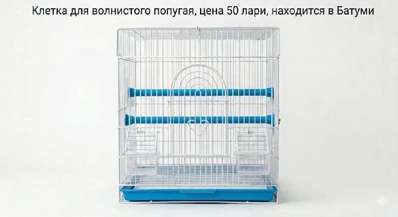 50 лари — Батуми — 50 ₾