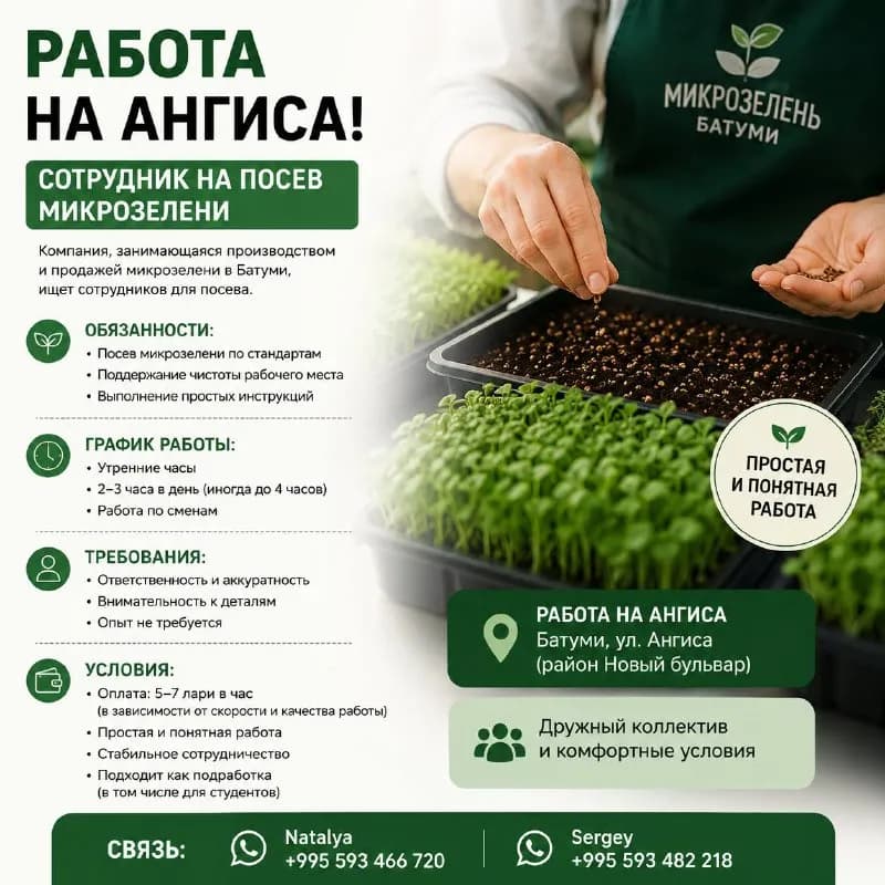 3–4 часа в день ⏰ — Батуми — 7 ₾