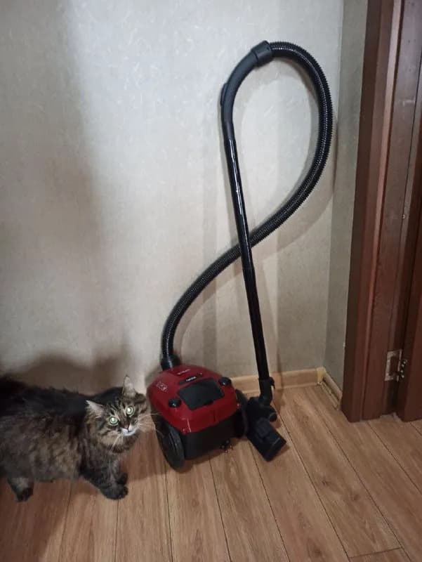 Scarlett vc80b63 пылесос — Тбилиси — 120 ₾