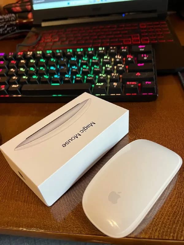 Apple Magic Mouse 🐁 — Тбилиси — 100 ₾