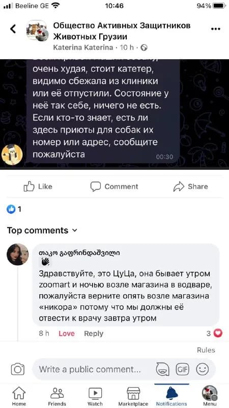 Без названия — Тбилиси