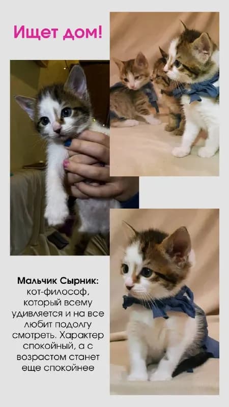 Без названия — Тбилиси