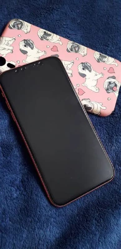 IPhone Xr 64Гб — Тбилиси — 600 ₾