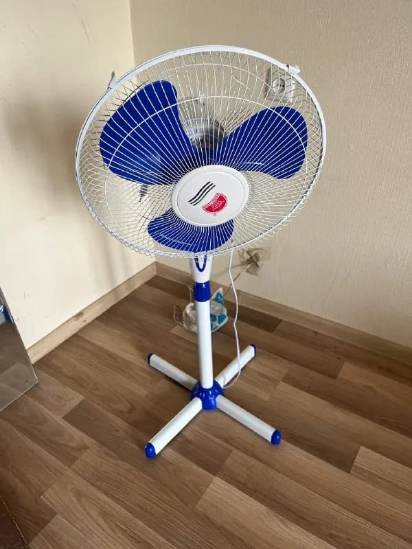 250 gel — Тбилиси — 250 ₾